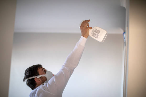 Best Local Mold Removal Service  in Whitney, TX