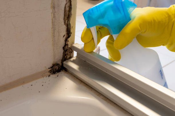 Best Toxic Mold Removal  in Whitney, TX