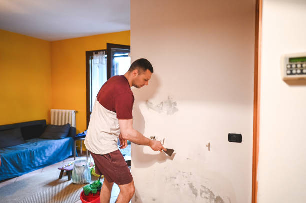Best Crawl Space Mold Removal  in Whitney, TX