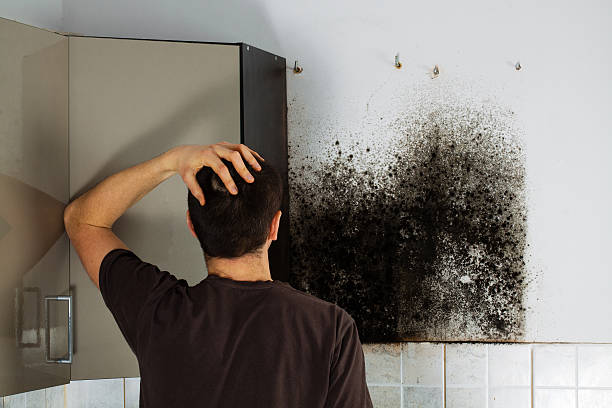 Best Mold Removal Process  in Whitney, TX